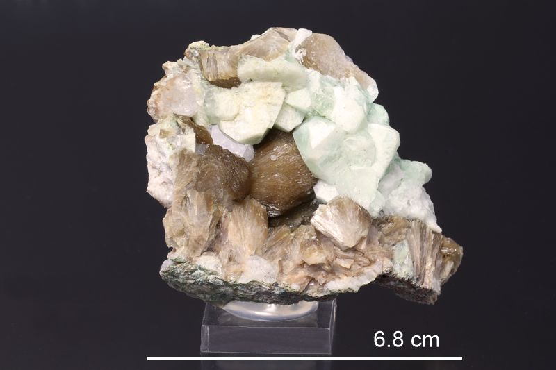 Apophyllite (Nova Scotia)